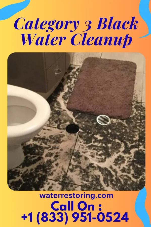 Category 3 Black Water Cleanup in East Greenville, PA