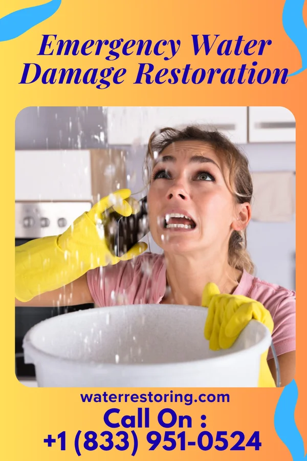 Emergency Water Damage Restoration in East Greenville, PA