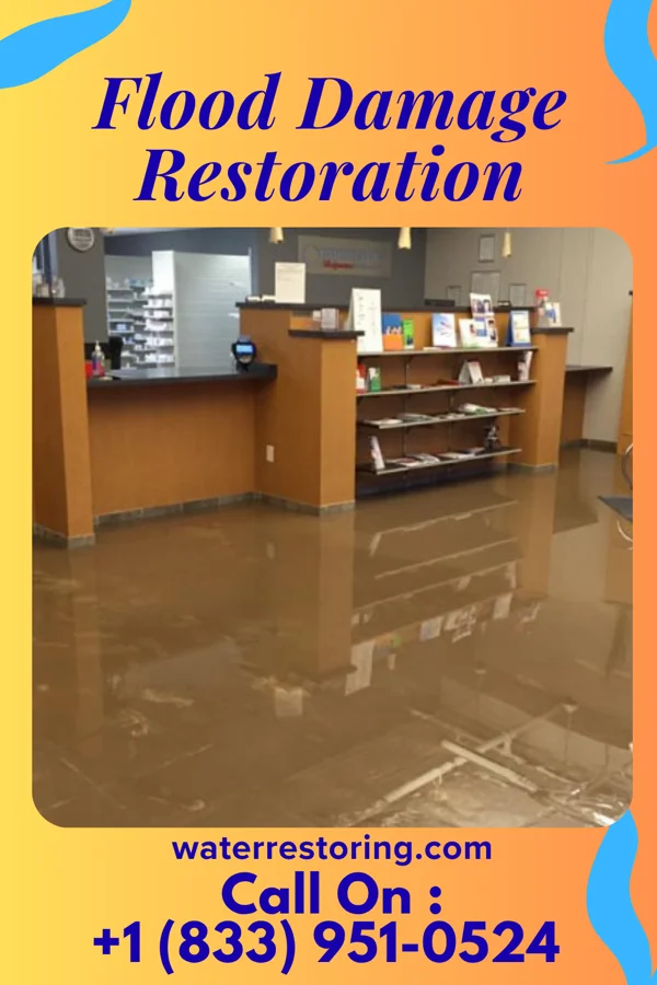 Flood Damage Restoration in East Greenville, PA