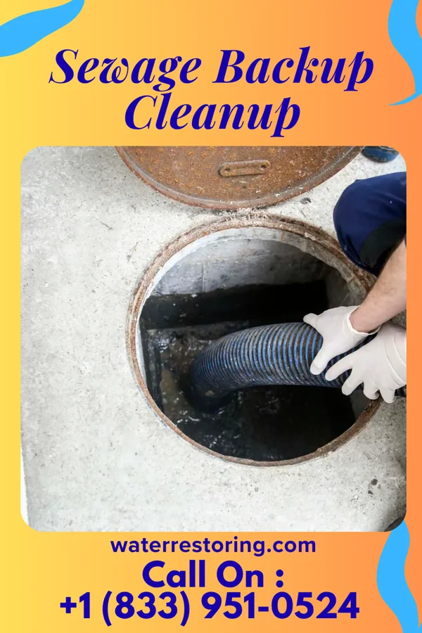 Sewage Backup Cleanup in East Greenville, PA