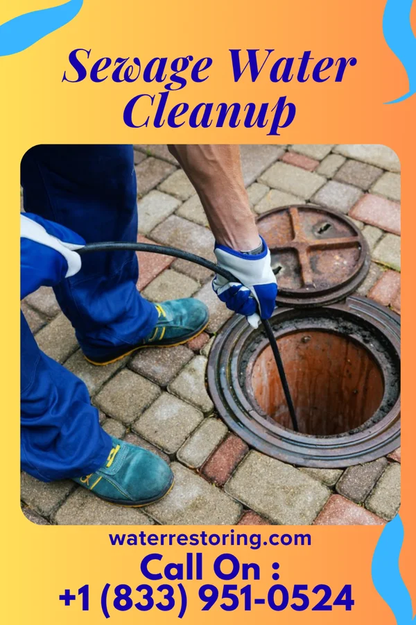 Sewage Water Cleanup in East Greenville, PA