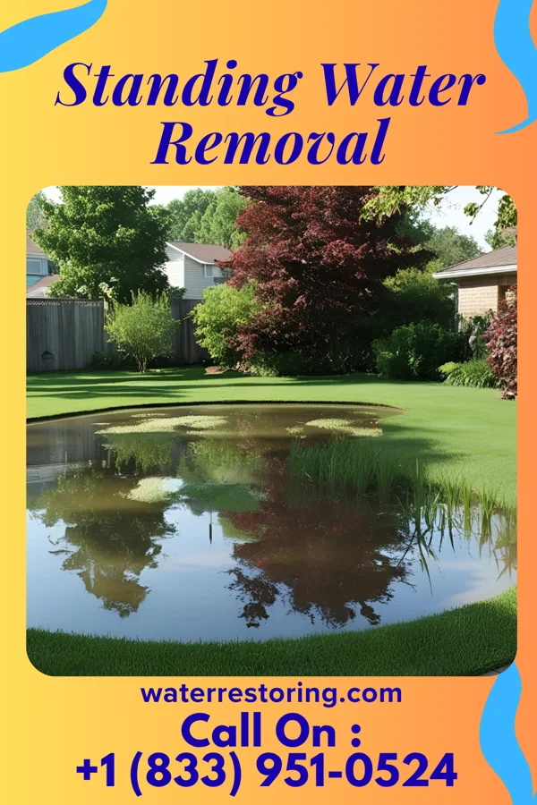 Standing Water Removal in East Greenville, PA